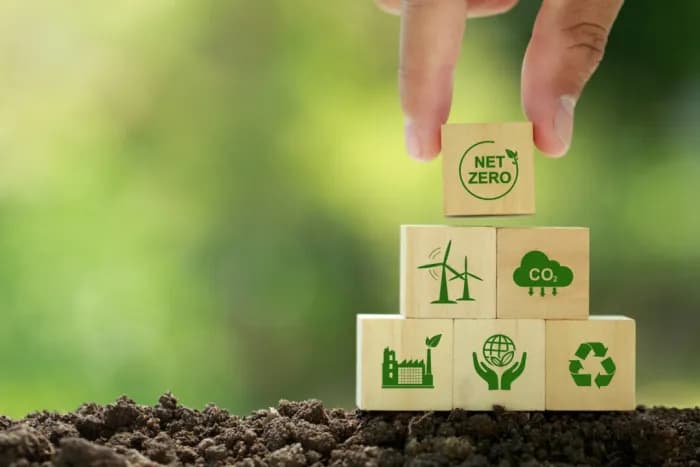 DẪN DẮT THẨM ĐỊNH VÀ KIỂM TRA XÁC NHẬN GHG 
